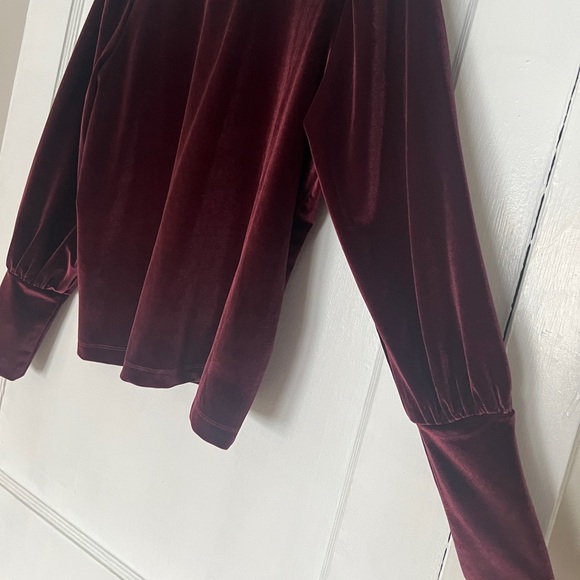 LOFT Velvet Burgundy Blouse - Picture 7 of 9